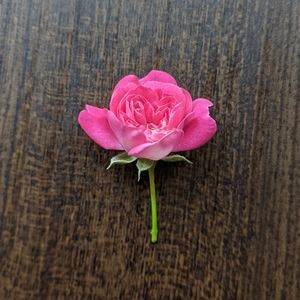 Meet your Posher, Kelsey